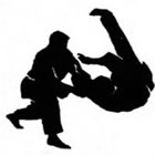 Hapkido em Cariacica