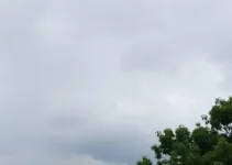 Colatina deve ter um dia com céu fechado com chuvisco nesta quinta-feira