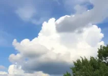 céu parcialmente limpo