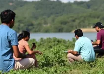 fortalecimento da participação social