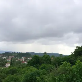 Colatina