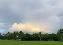 previsão do tempo
