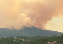 queimadas em Colatina