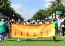 Colatina saúde gratuita