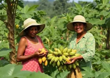 apoio agricultoras cacau