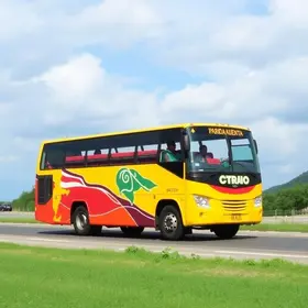 viagens de ônibus
