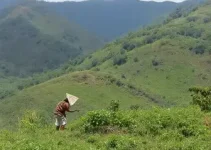 adaptação às mudanças climáticas