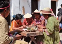 oficinas culturais gratuitas